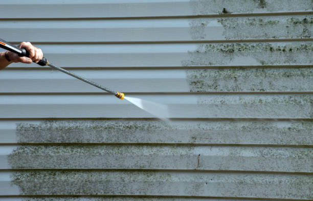Best Best Pressure Washing Companies  in Wright City, MO