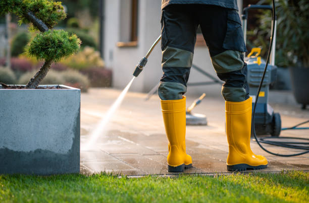 Best Sidewalk Pressure Washing  in Wright City, MO